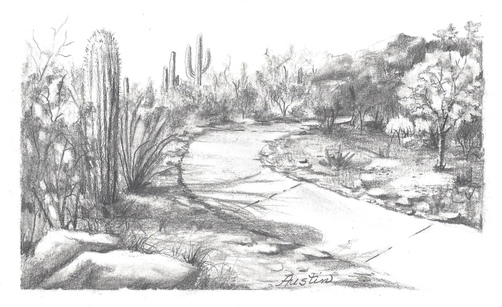 1000x611 Pencil Sketchesscratch Art Art By Leslie Austin - Pathway Sketch