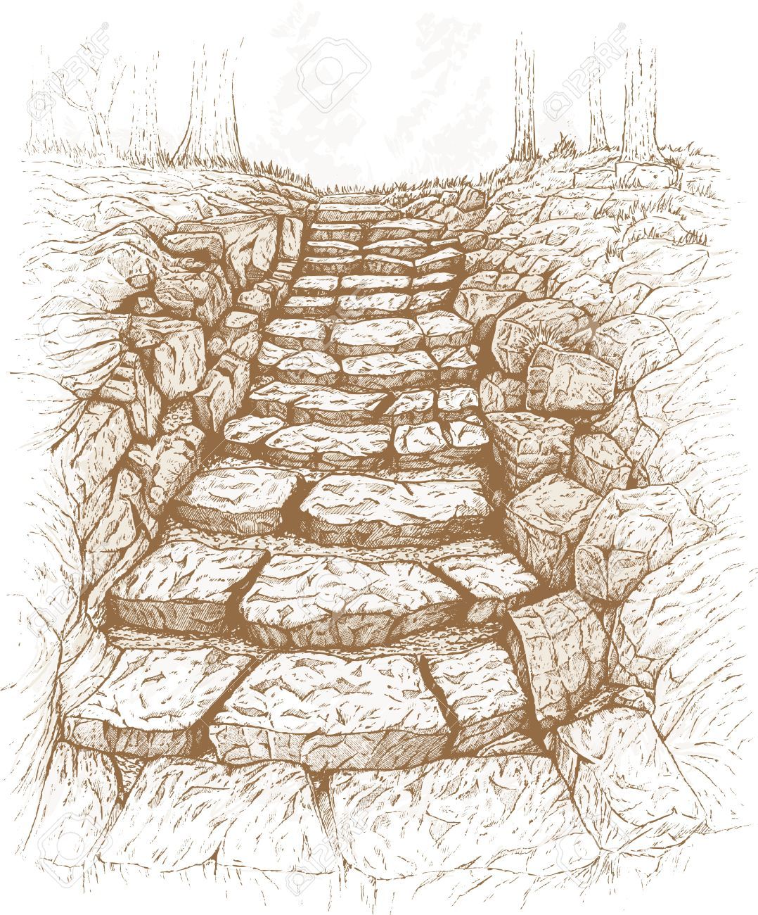 Pathway Drawing