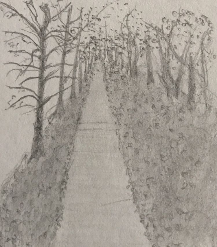 Pathway Sketch at Explore collection of Pathway Sketch