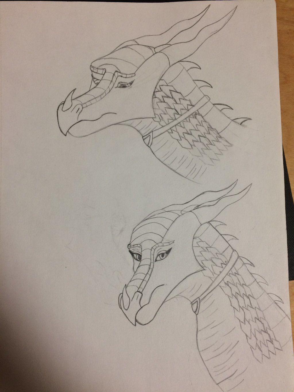 1024x1365 Sorrowind And Sorona Sketches By Patrioticstooge917 - Patriotic Sketches