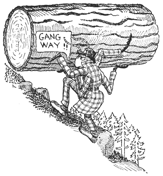 556x600 Paul Bunyan And His Big Blue Ox - Paul Bunyan Sketch