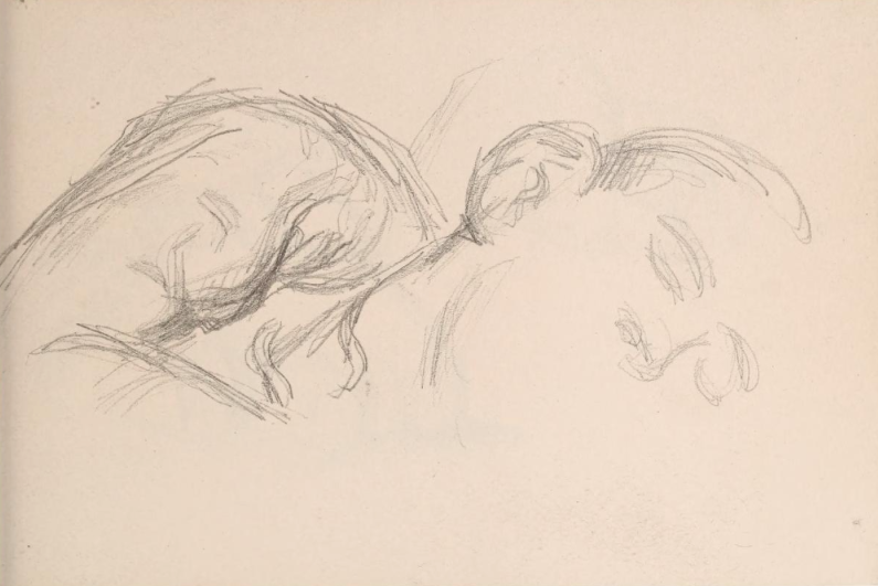 795x531 Armin Ganguly On Twitter Love The Sketches By Paul - Paul Cezanne Sketches