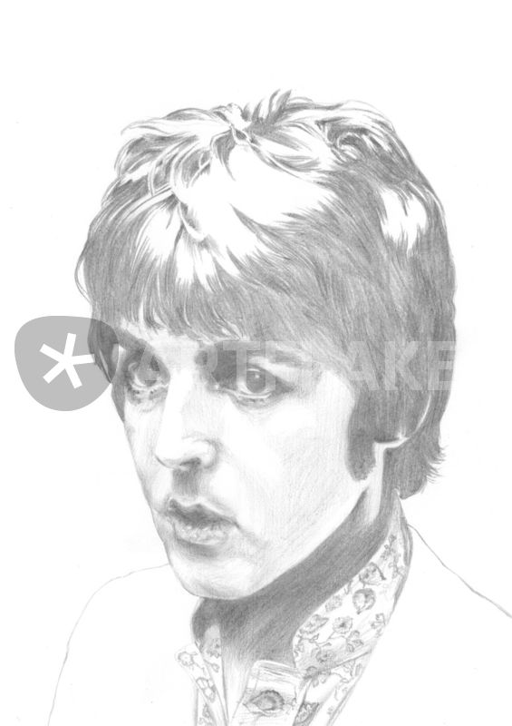 565x800 Paul Mccartney Drawing Art Prints And Posters By Carl Seager - Paul Mccartney Sketch