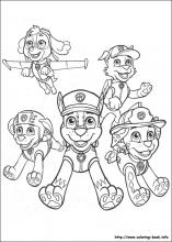 157x220 Paw Patrol Coloring Pages On Coloring - Paw Patrol Sketch