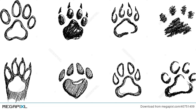 800x450 Paw Print Sketch Set Illustration 40751409 - Paw Print Sketch