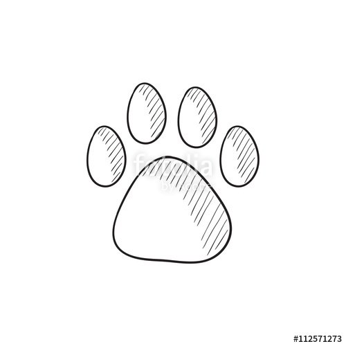 500x500 Paw Print Sketch Icon. Stock Image And Royalty Free Vector Files - Paw Print Sketch