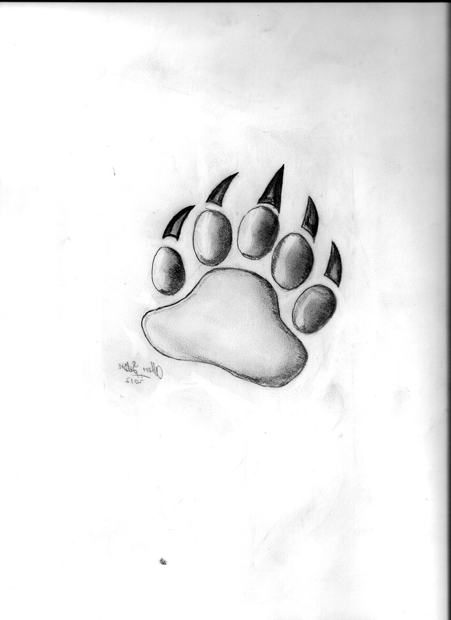 bear paw print drawing