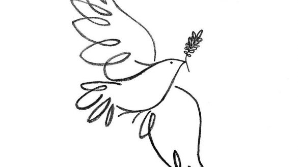 585x329 Trendy How To Draw A Peace Dove With Olive Branch Step By Drawing - Peace Dove Sketch