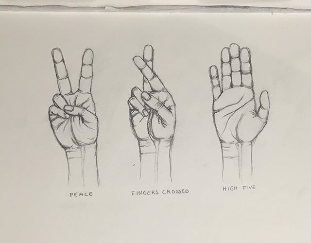 640x500 Hands - Peace Hand Sketch