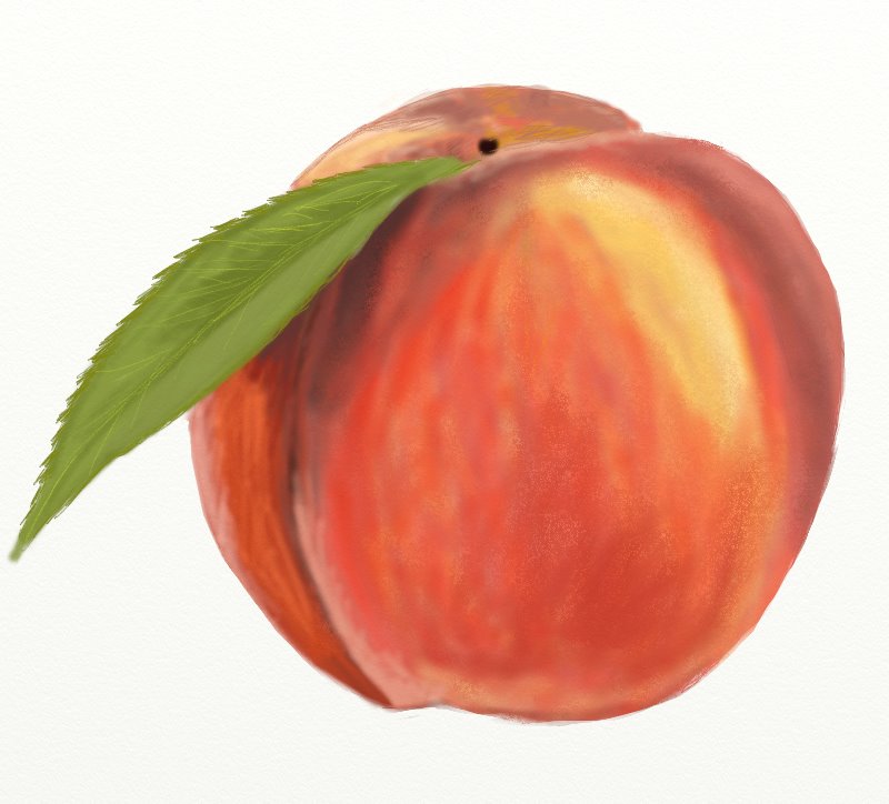 800x724 Peach Sketch Drawing Skill - Peach Sketch