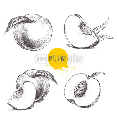 400x400 Hand Drawn Sketch Style Peach Fruit Set. Vintage Eco Food Vector - Peach Sketch