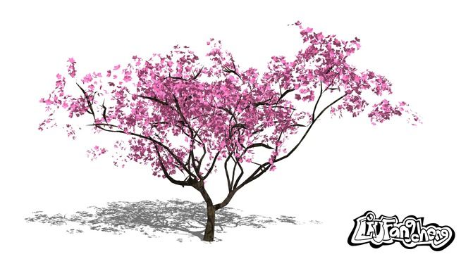 654x368 Large Preview Of 3d Model Of 3d Tree - Peach Tree Sketch