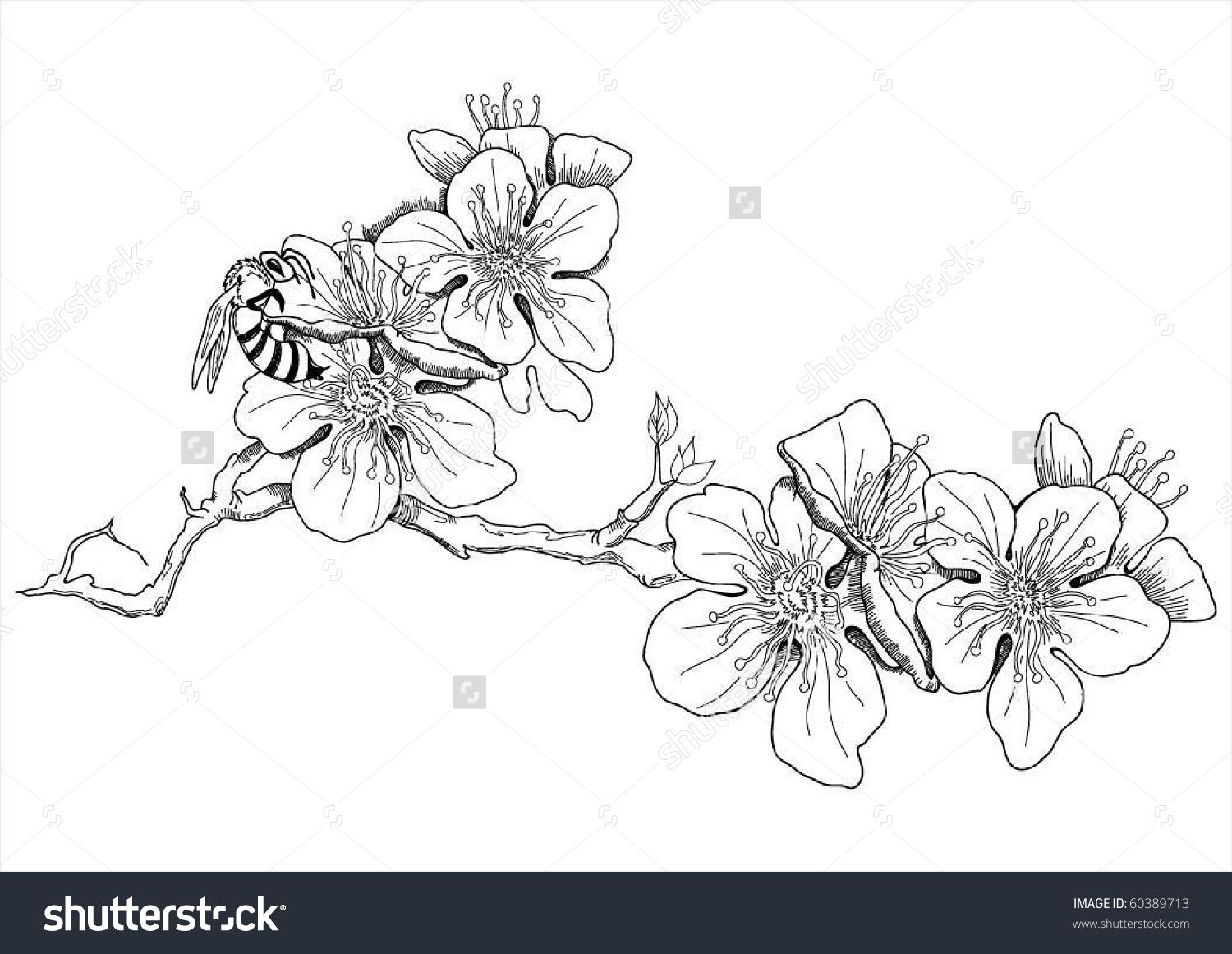 1500x1161 Pin By Jaycee Quinton On Tattoos!! Peach Trees And - Peach Tree Sketch