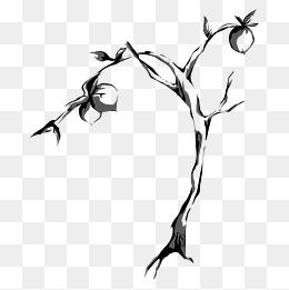 260x261 Tree Water Sky Splash, Sketch, Forest, Summer Background Image For - Peach Tree Sketch