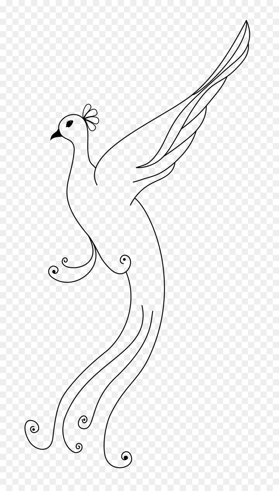 900x1580 Line Art Drawing Clip Art - Peacock Bird Sketch