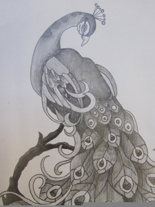 225x300 Peacock Bird Drawing Free Images - Peacock Bird Sketch