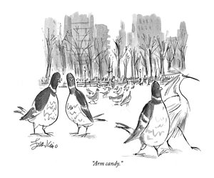 300x249 Peacock Drawings Fine Art America - Peacock Bird Sketch