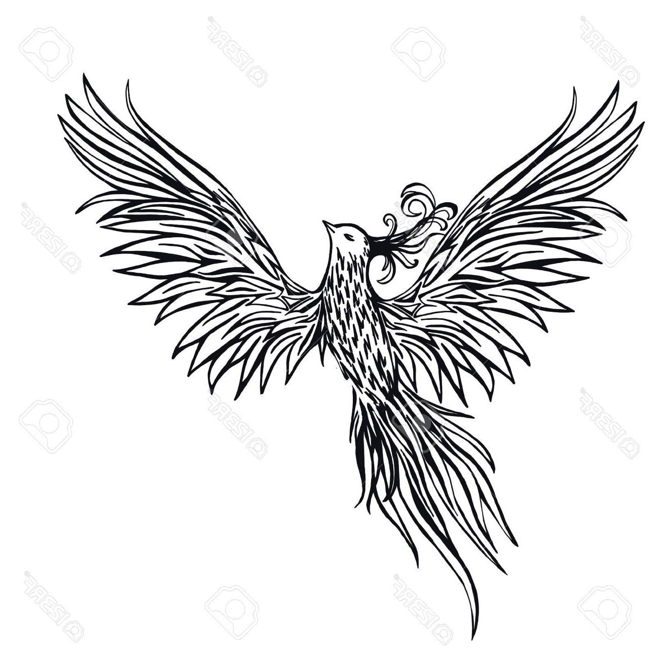 1300x1300 Drawing Of A Phoenix On Fire Hand Drawn Chinese Peacock Tattoo - Peacock Bird Sketch