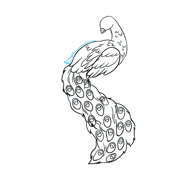 678x600 Peacock Drawing, Pencil, Sketch, Colorful, Realistic Art Images - Peacock Drawing Sketch