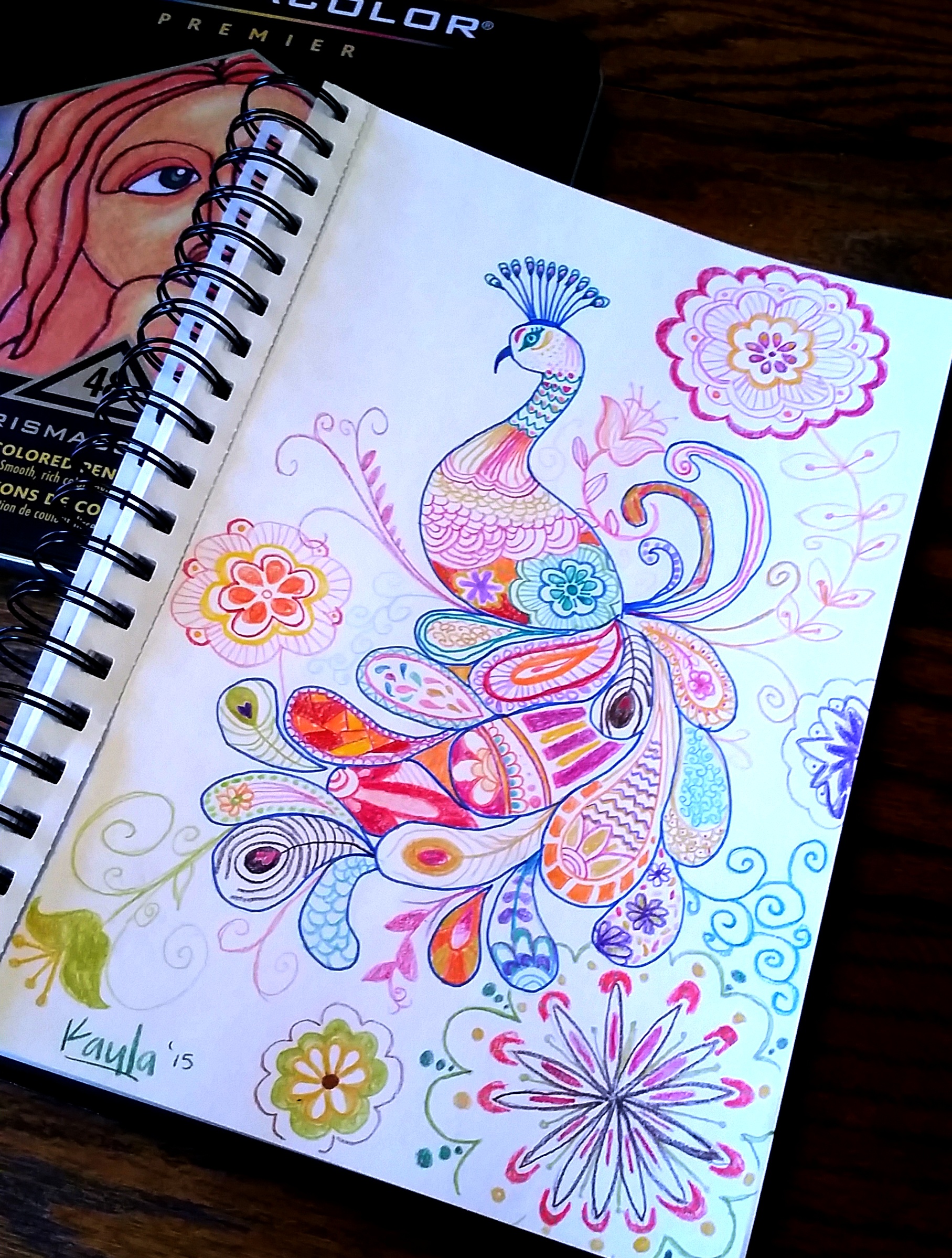 1815x2398 Sketchbook My Documentation Of Drawings, Sketches Amp Recent Artwork - Peacock Drawing Sketch