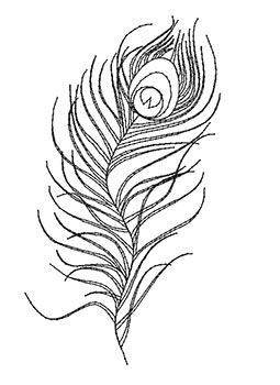 255x350 Collection Of Peacock Feather Drawing Outline High Quality - Peacock Feather Sketch