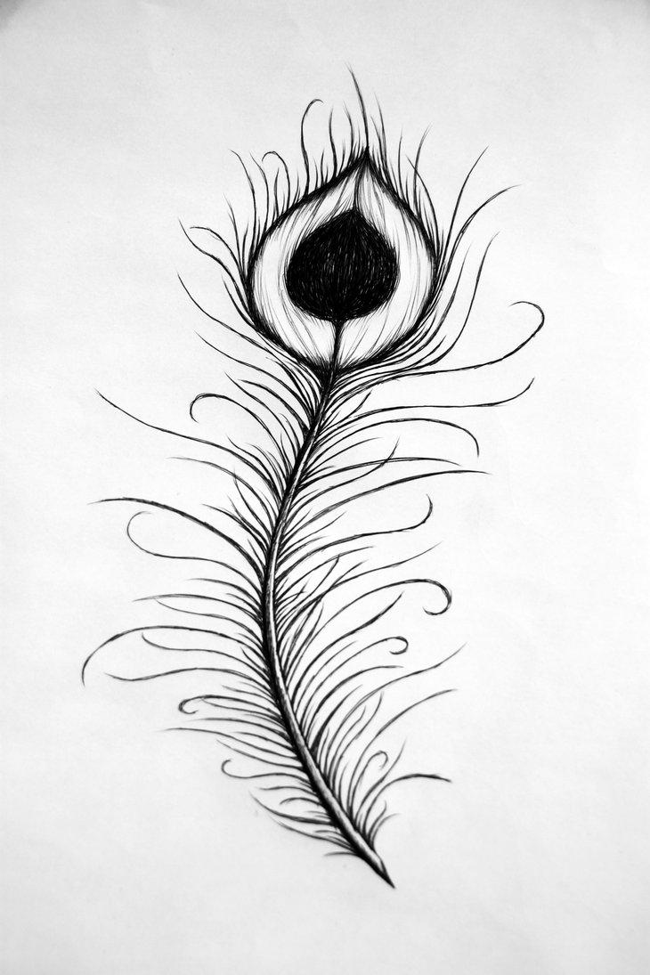 Featured image of post Pencil Sketch Of Peacock Feather / Peacock feather wreath, pillows, earrings.