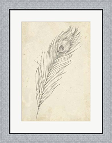 393x500 Peacock Feather Sketch Ii By Ethan Harper Framed Art - Peacock Feather Sketch