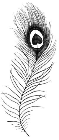 200x473 Peacock Feather Sketch Feathers Tattoos, Feather - Peacock Feather Sketch