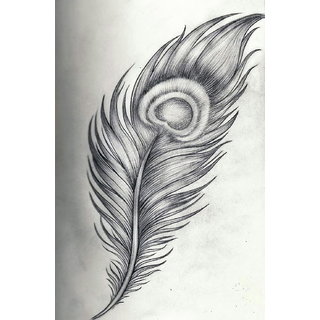 320x320 Buy Peacock Feather Online - Peacock Feather Sketch