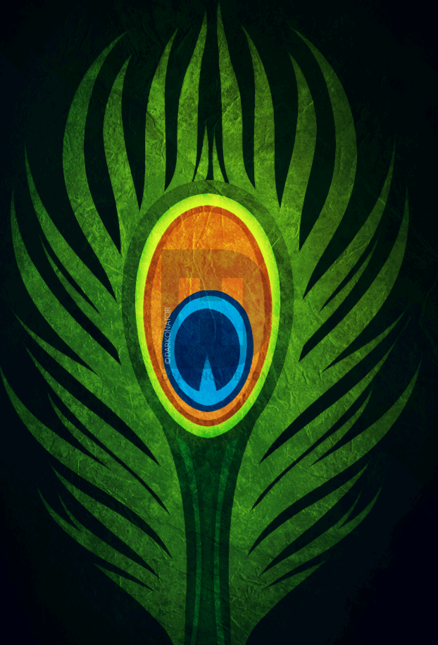 622x914 How To Draw A Peacock Feather, Step By Step, Drawing Guide, By - Peacock Feather Sketch