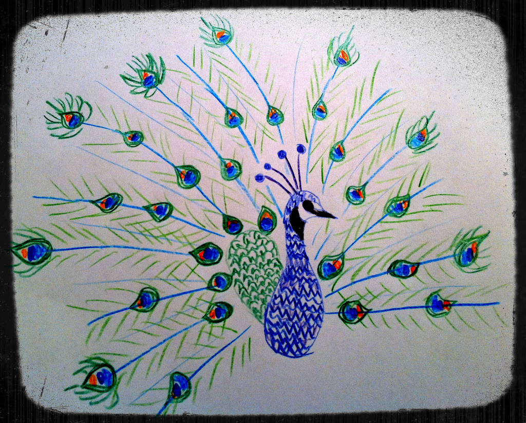 1024x823 Peacock Pencil Sketch Bean.zilla - Peacock Pencil Sketch