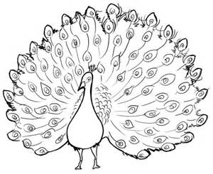 300x245 Collection Of Simple Peacock Pencil Drawing High Quality - Peacock Pencil Sketch