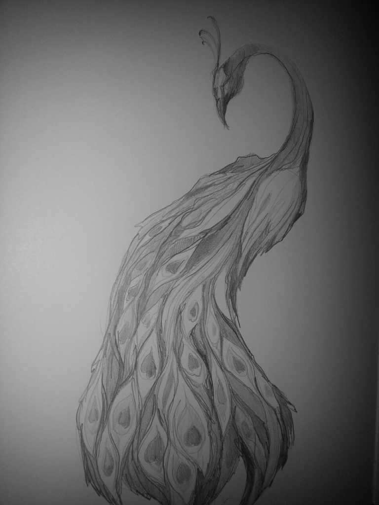 768x1024 Pencil Drawing Images Of Peacock Pencil Drawings Of Peacock - Peacock Pencil Sketch