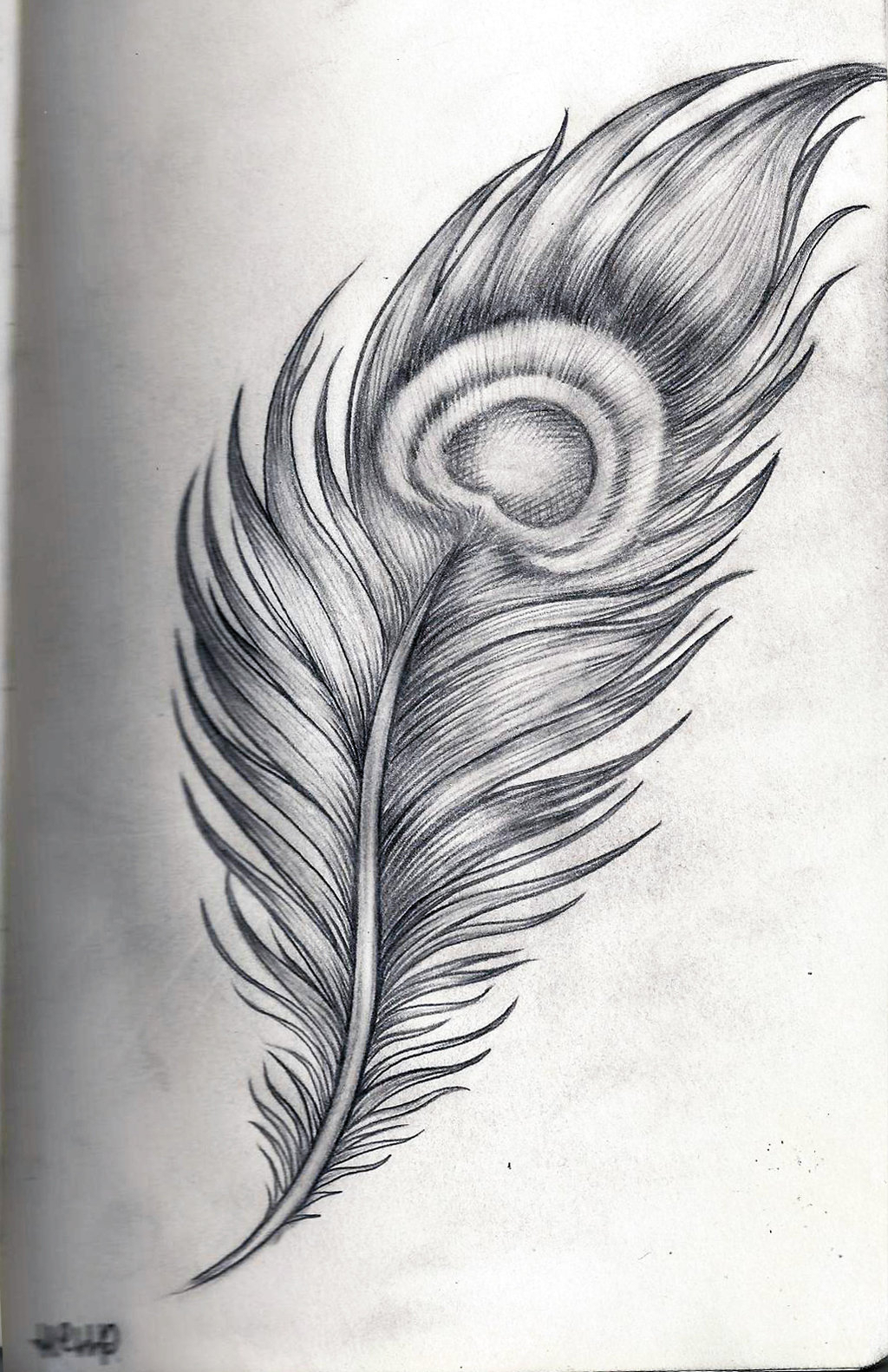 Peacock Design Pencil Sketch ~ Peacock Pencil Drawing Design | Bodbocwasuon