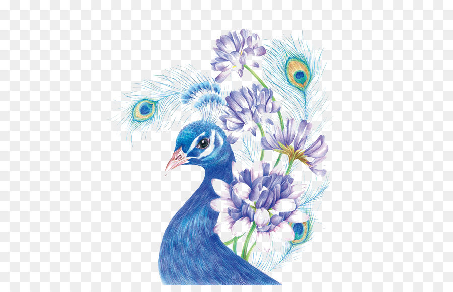 900x580 Drawing Colored Pencil Painting Sketch - Peacock Sketch