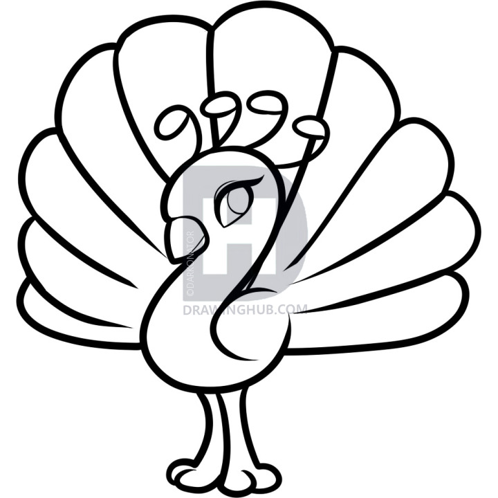 720x720 How To Draw A Peacock For Kids, Step By Step, Drawing Guide, By - Peacock Sketch For Kids