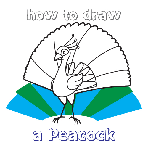 500x500 How To Draw How To Draw A Peacock For Kids - Peacock Sketch For Kids