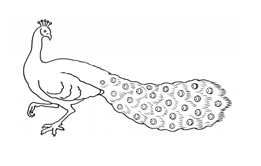 1024x653 Birds Drawing For Kids - Peacock Sketch For Kids