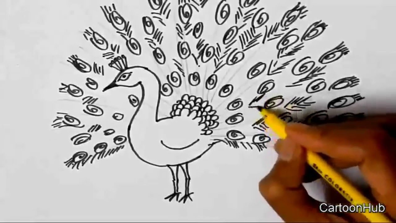 1280x720 Dancing Peacock Sketch How To Draw A Dancing Peacock For Children - Peacock Sketch For Kids