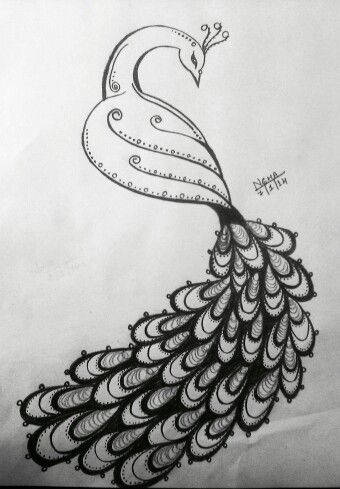 340x489 Peacock Sketch Pencil Sketches Peacock Sketch - Peacock Sketch Images