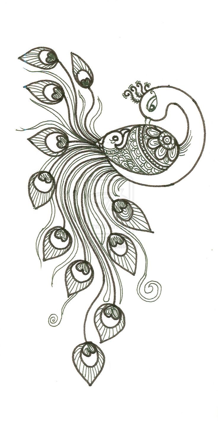 Peacock Sketch Images at PaintingValley.com | Explore collection of ...