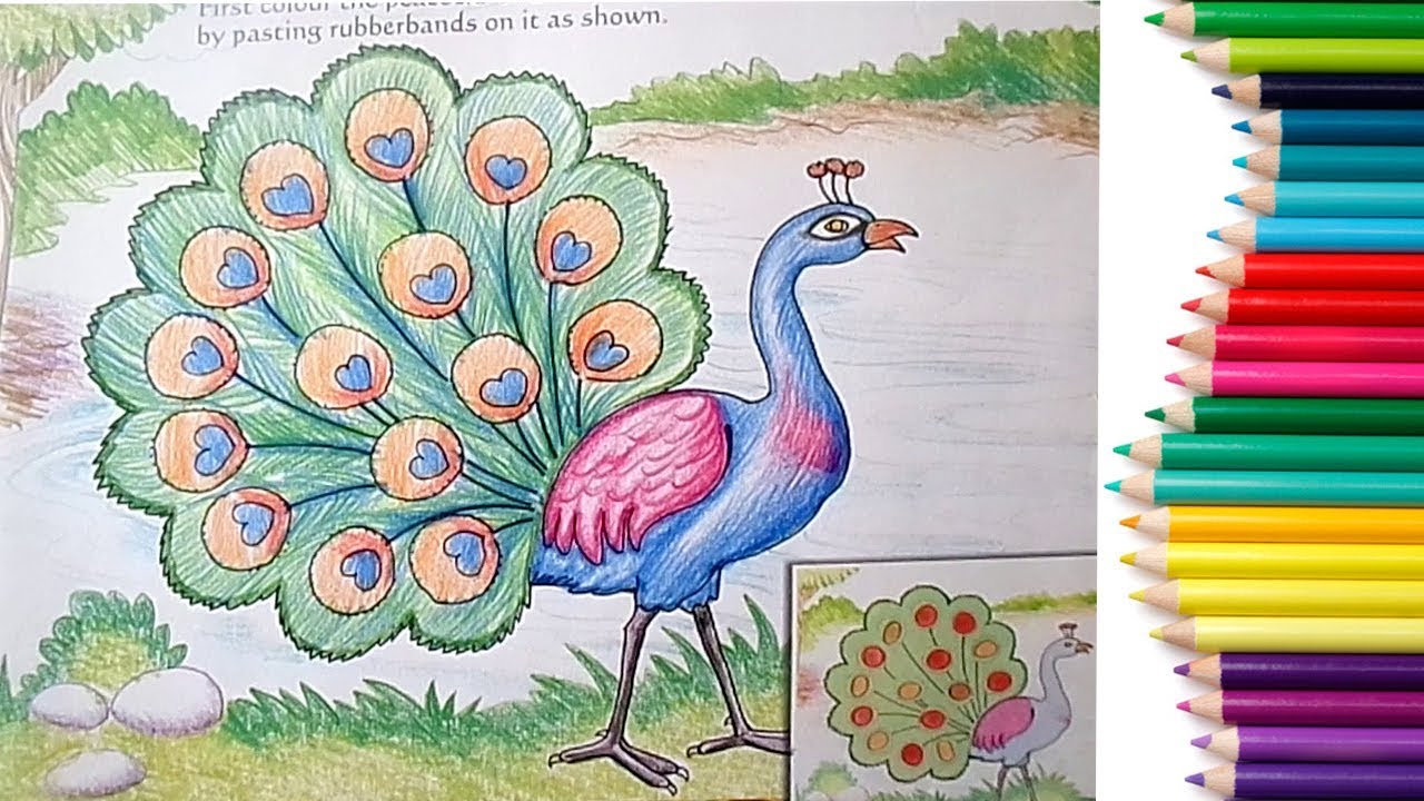 1280x720 How To Draw A Peacock Step By Step In Easy Method Drawing For - Peacock Sketch Step By Step