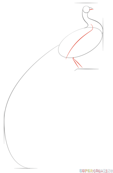 377x575 How To Draw A Peacock Step By Step Drawing Tutorials Painting - Peacock Sketch Step By Step