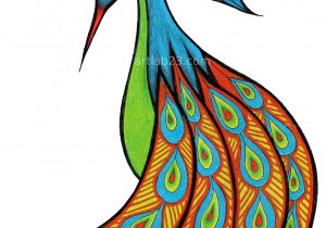 300x210 Peacock Bird Drawing Step By Step Bird Drawing Peacock How To Draw - Peacock Sketch Step By Step