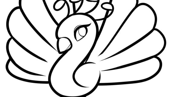 570x320 Peacock Drawings Step By Step - Peacock Sketch Step By Step