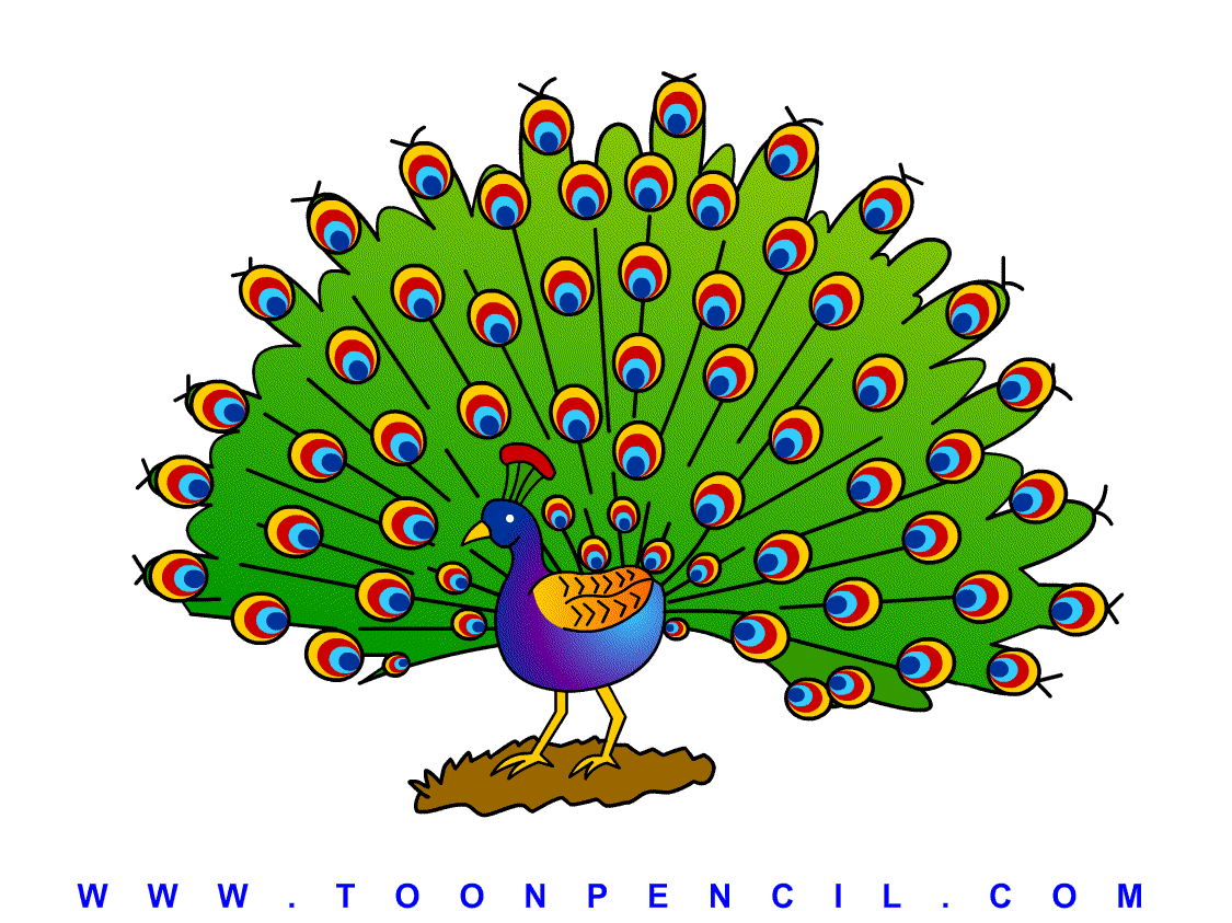 1125x843 Pin By Ellen Sykes On Plethora Of Peacocks Drawings - Peacock Sketch Step By Step