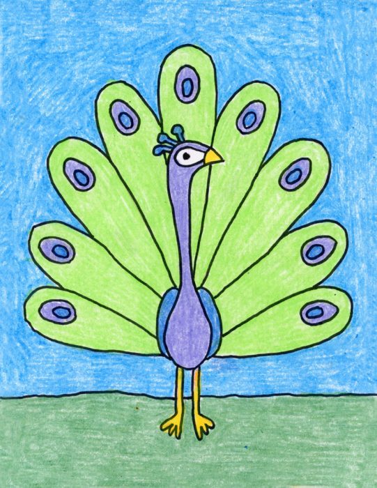 541x700 Simple Peacock Drawing Art Projects For Kids - Peacock Sketch Step By Step