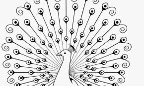 290x175 Easy Drawing For Peacock Luxury Peacock Fan Coloring Pages My - Peacock Sketch Step By Step