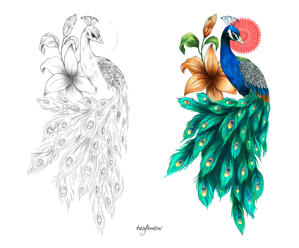 1024x849 Drawn Peacock Japanese - Peacock Tattoo Sketch