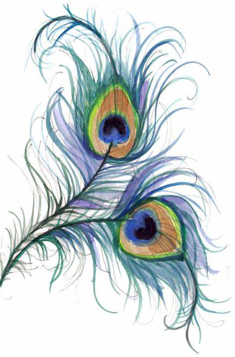 474x721 Peacock Feather Tattoo Sketch. The Sketch Book Tagged Ampquotpeacock - Peacock Tattoo Sketch